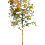 5a294887b753d0.0898282315126549837509