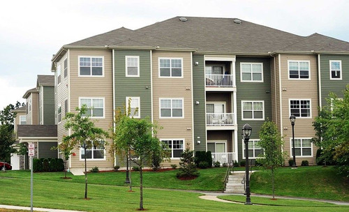 All Island Tree Service & Removal Suffolk County.jpg