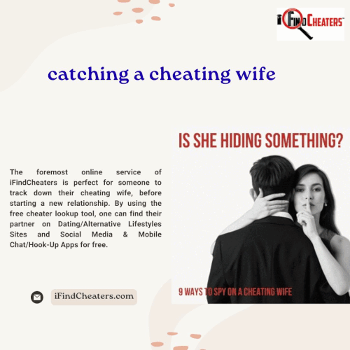 catching a cheating wife.gif