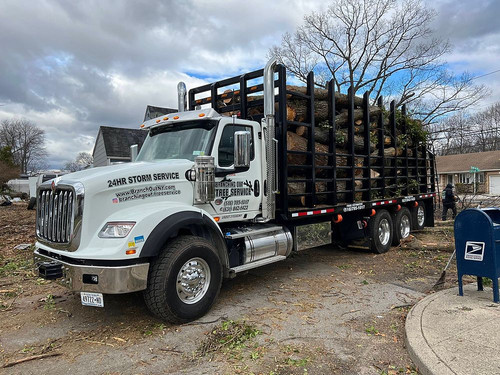 Tree Removal Service Long Island.jpg