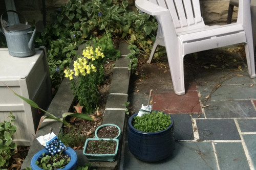 RJI Law home improvement contractor IQ test 5a700346.jpg