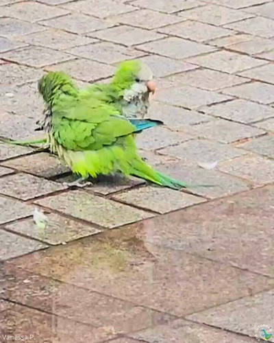 bcJmSY8qjD1 JEQM.jpg