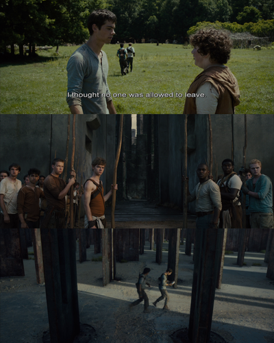 InCollage 20250821 202757597.png