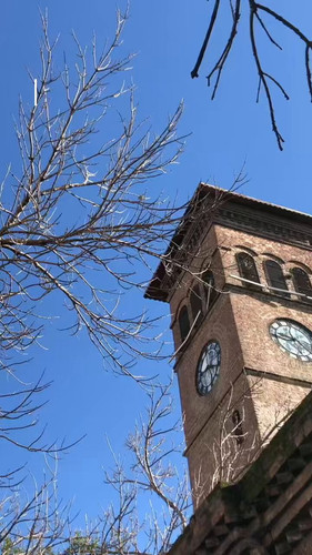 zF6NvWKzw12 O9jA.jpg