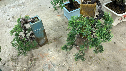 08212f3a acec 44f9 bde3 adc41e46d17a.jpg