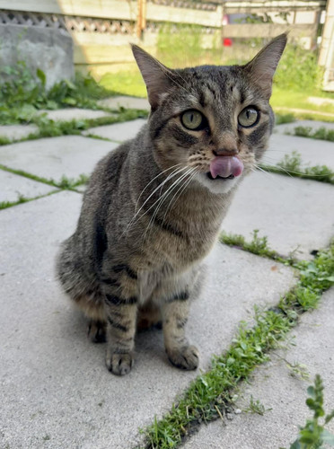 535917326 1170464621767329 4785982241010094162 n.jpg