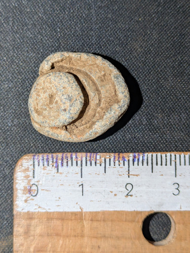 PXL 20250822 083009641.jpg