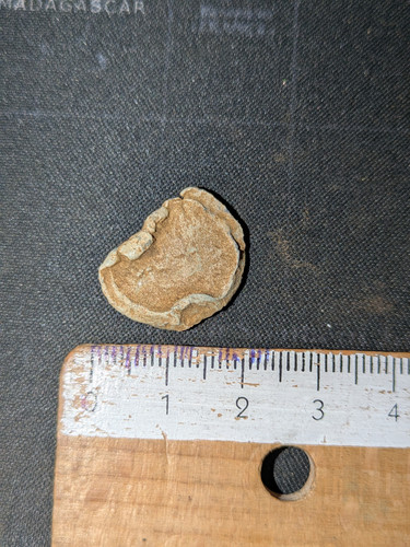 PXL 20250822 084319617.jpg