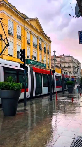 WAwn5zxuZnwfh6 0.jpg