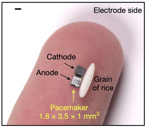 Gnu31r agAAufIr?format=jpg.jpg