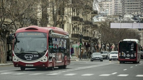 536203492 1178541534303824 2065048313520608151 n.jpg? nc cat=111&ccb=1 7& nc sid=833d8c& nc ohc=OGVk.jpg