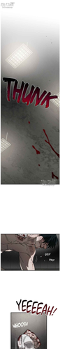 13.png