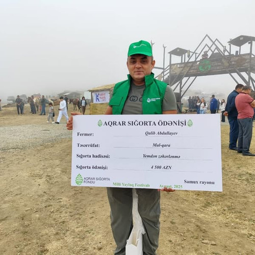 536271935 1173206238173559 5168362889426465425 n.jpg?stp=dst jpg s600x600 tt6& nc cat=106&ccb=1 7& n.jpg