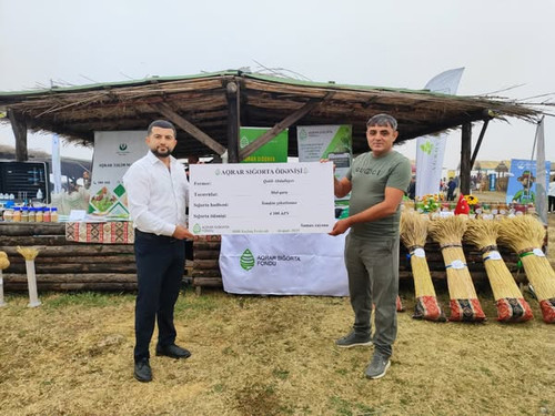 537859211 1173206008173582 7276343002908401154 n.jpg?stp=dst jpg s600x600 tt6& nc cat=103&ccb=1 7& n.jpg