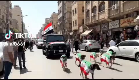 tbw3XJT8pH24eyE .jpg