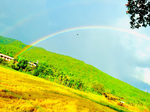 5117365A 5E75 473D B865 5F219062D8F4.jpg