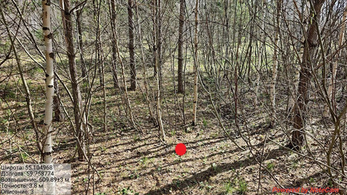 Mr3FMi7VpIbPuJgCURmaXEtjmhmU0g5h 02056031.jpg