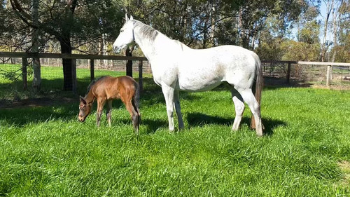 LhyWfVo GdyDE6gI.jpg