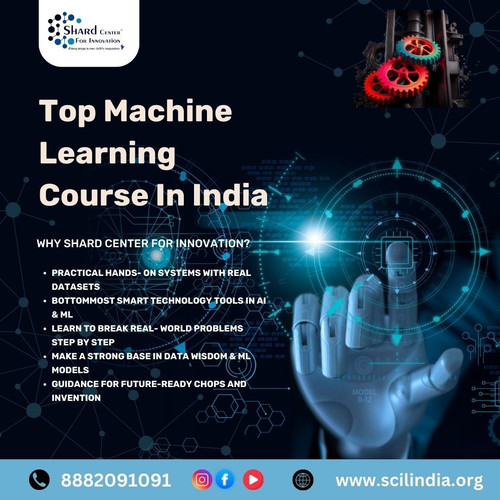 Top Machine Learning Course In India.jpg