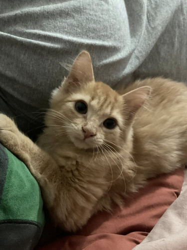 538171882 24903219359296534 5977884209574492530 n.jpg