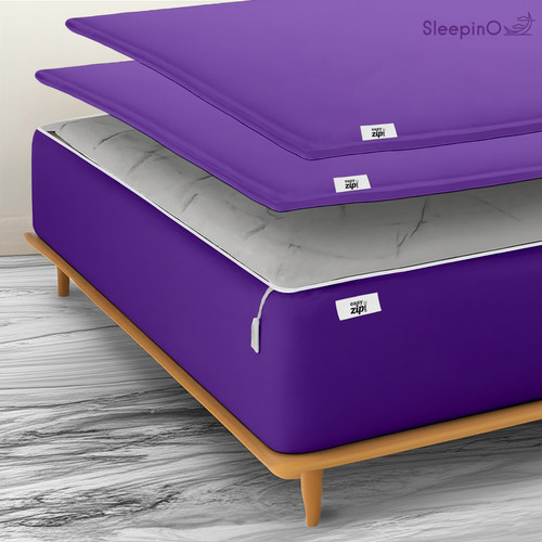 Purple (1).jpg