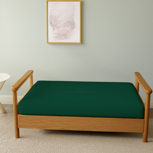 OLIVE 06.jpg