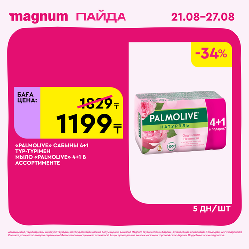 Magnum 1620x1620 1 tov 2025 08 21T113314.140.png