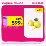 Magnum 1620x1620 1 tov 2025 08 21T113311.799