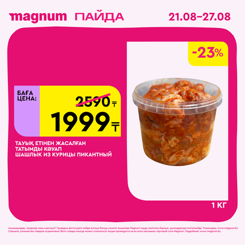 Magnum 1620x1620 1 tov 2025 08 21T113325.424.png