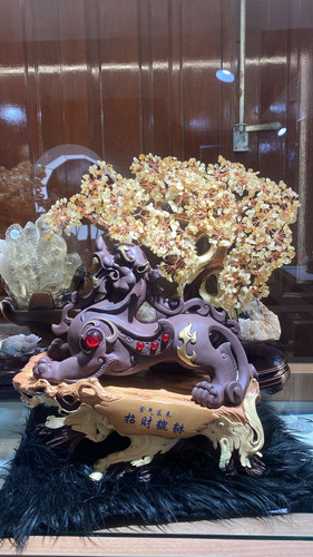 WhatsApp Image 2025 08 21 at 13.32.17.jpg