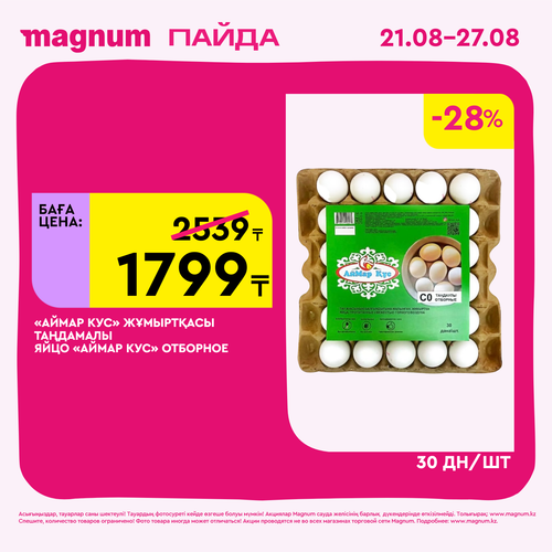 Magnum 1620x1620 1 tov 2025 08 21T113345.241.png