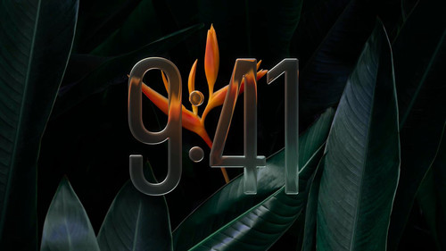 TKh1bHzNks Hl2aC.jpg