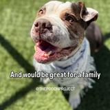 GyVnbgnaMAA qg2?format=png.png