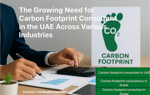 Carbon footprint.jpg