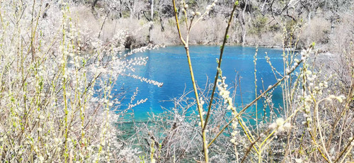 微信图片 20250822092132.jpg