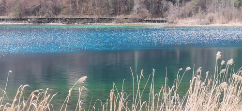 微信图片 20250822091152.jpg