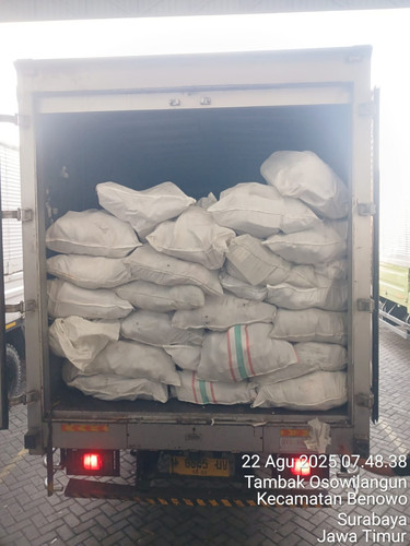 434457f3 af58 4db5 9673 15699b09339c.jpg