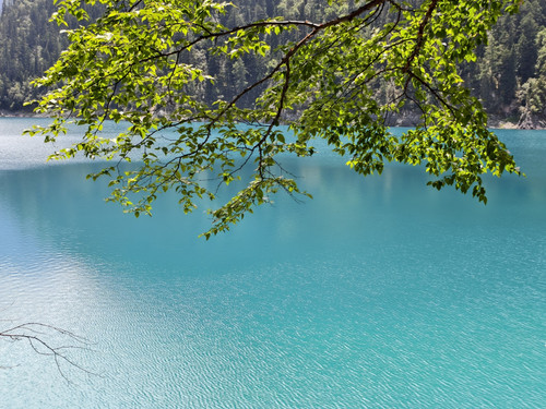 IMG 20250802 140601.jpg