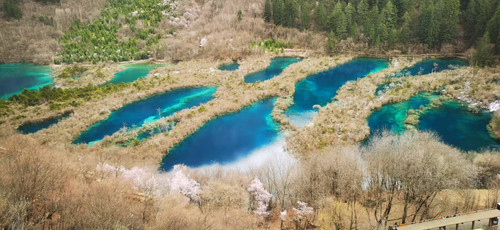 微信图片 20250822085843.jpg