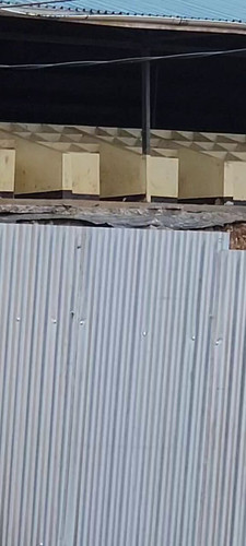 T1G5 8amw7DarSB7.jpg