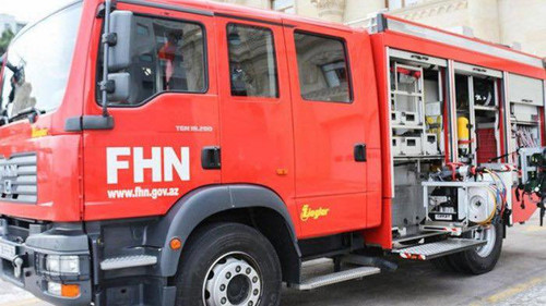 537732029 1178503497640961 8172324443435279859 n.jpg? nc cat=110&ccb=1 7& nc sid=833d8c& nc ohc=CTJM.jpg