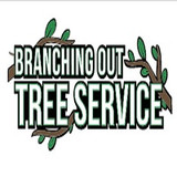 Long Island Tree Service
