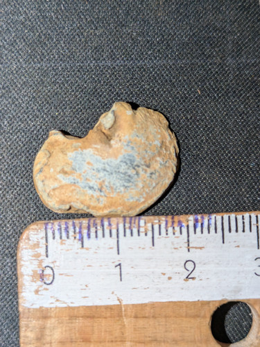 PXL 20250822 093454043.jpg