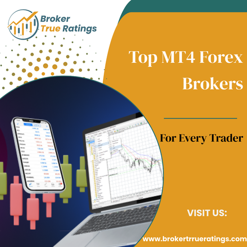 Top MT4 Forex Brokers for Every Trader.png