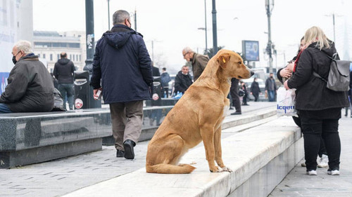 K9oMRta.md.jpg