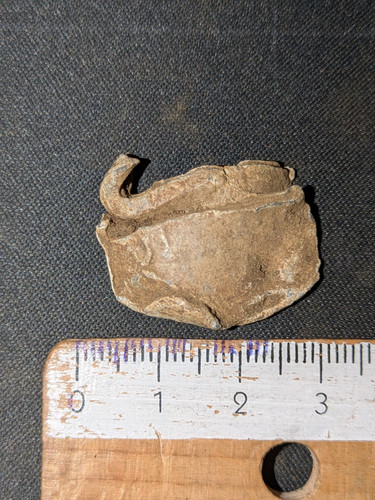 PXL 20250822 100609540.jpg