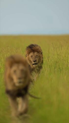 IKuQWHA7 rrAgmX4.jpg