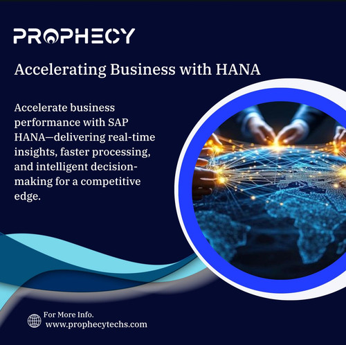 WhatsApp Image 2025 08 22 at 11.50.00 AM.jpg