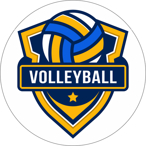 VOLLEY BALL.png