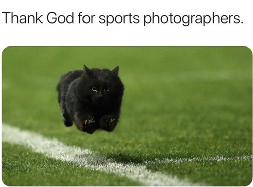 Screenshot 2025 08 22 at 11.40.17 AM.png